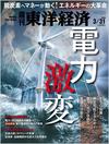 電力激変 脱炭素化とマネーが起爆剤