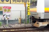 「この踏切で無謀横断が多発しています」「危険　鳴ったら渡るな」と注意を呼び掛ける看板（記者撮影）