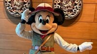 《香港ディズニーランドのホテル》に宿泊したら凄すぎた…　極上の｢ホスピタリティ｣で､荒んだ心身が解きほぐされる"至福時間"　【画像39枚】