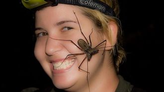 世界｢最凶｣の毒を持っている生物は何か？