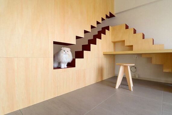 老いた猫も遊べるよう低い位置から階段にした