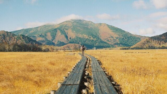 癒やし効果抜群､初心者も楽しい絶景｢山歩き｣3選