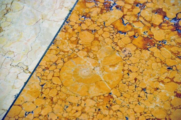 店頭の大理石の床にはアンモナイトの化石も見つかる