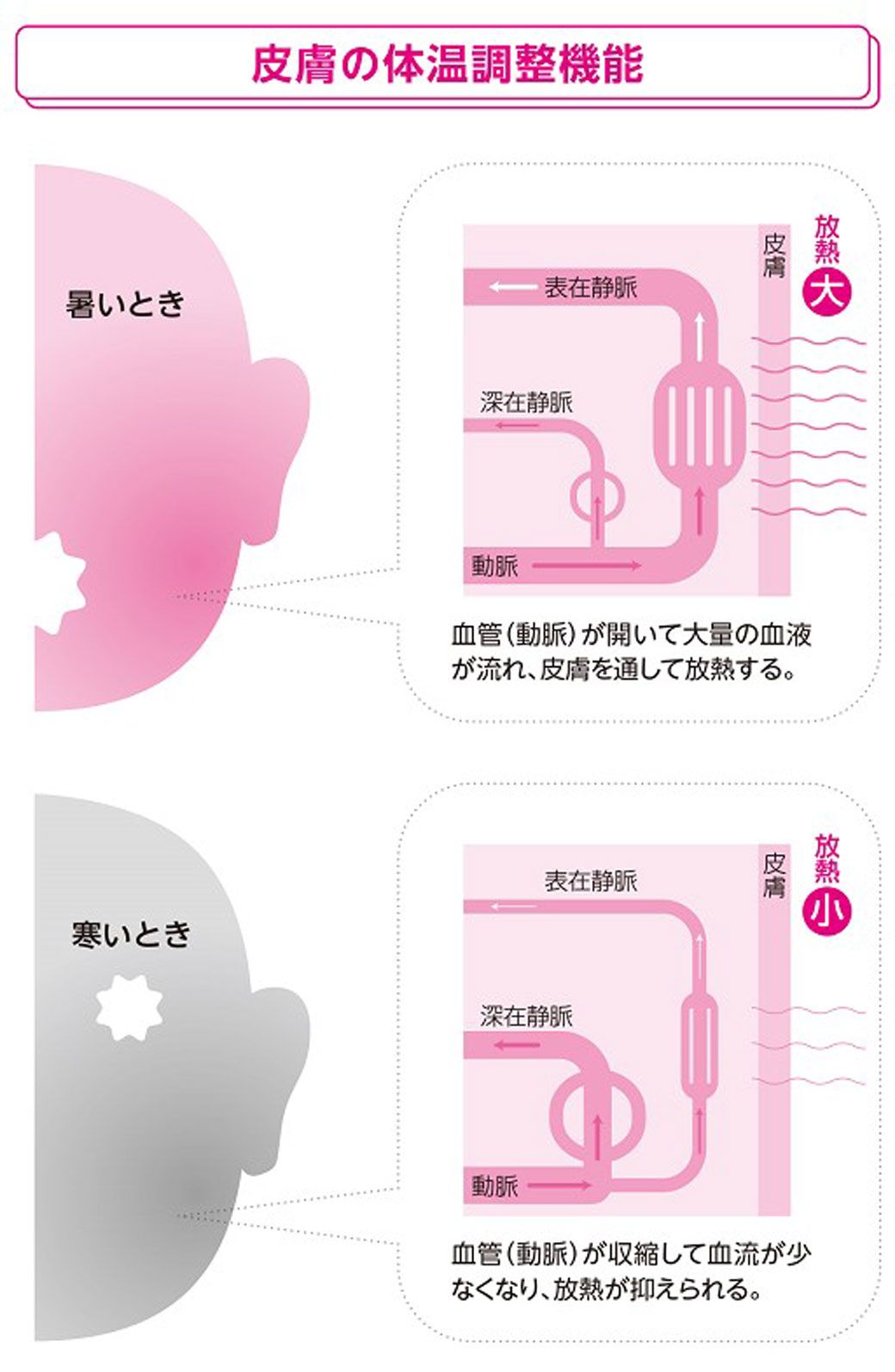 意外と知らない ウイルスと人体 のメカニズム 健康 東洋経済オンライン 社会をよくする経済ニュース
