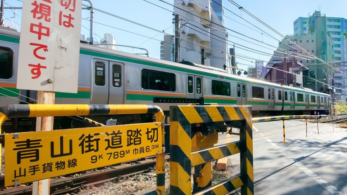 湘南新宿ラインはなぜ 貨物線 を走るのか 経営 東洋経済オンライン 社会をよくする経済ニュース