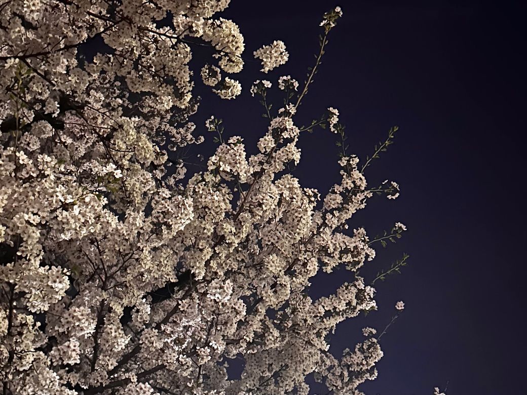 東京で最初に住んだ街 経堂