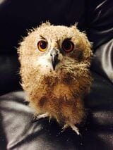 （写真提供：ゲンさん）
