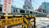 湘南新宿ラインの列車は「山手貨物線」を走っている（写真：Caito／PIXTA）