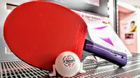 卓球で｢公式ボールの製造国が有利｣は本当か 国際基準はあるが､国によって微妙に異なる