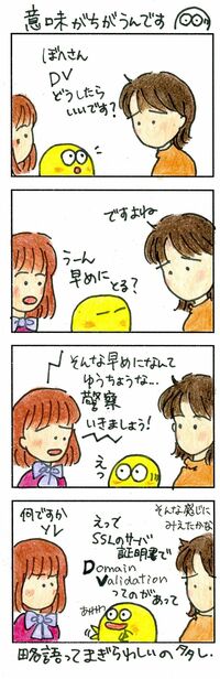 エンジニア界隈では｢DV｣に違う意味がある DVに悩んでいても驚かないで下さい