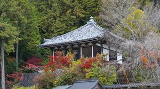 ｢足利襲撃｣信長が文句言う馬借を殺さなかった訳