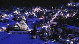 台湾の旧正月､人気な日本旅行が｢熊｣で異変？