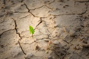 ゼロからの文明再興に必要なものとは？ 復興のための速攻