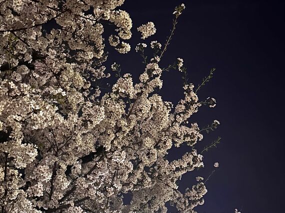 東京で最初に住んだ街 経堂