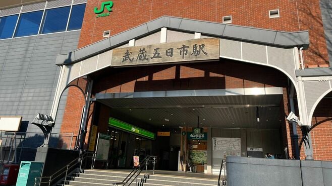 映画｢クスノキの番人｣樹高40mの"神木"は実在？