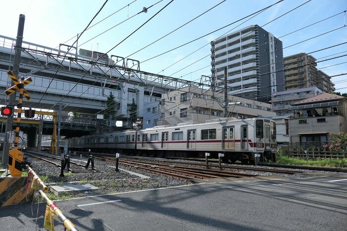 高架の山手通り