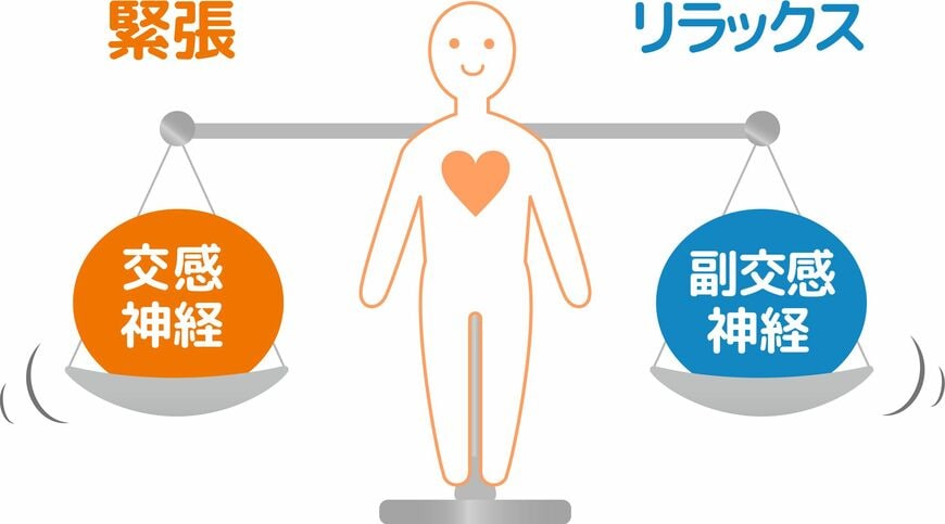 無意識に体をコントロールしている自律神経のうち、交感神経は臨戦態勢へと導き、副交感神経は安定と回復を促す（イラスト：suma／PIXTA）