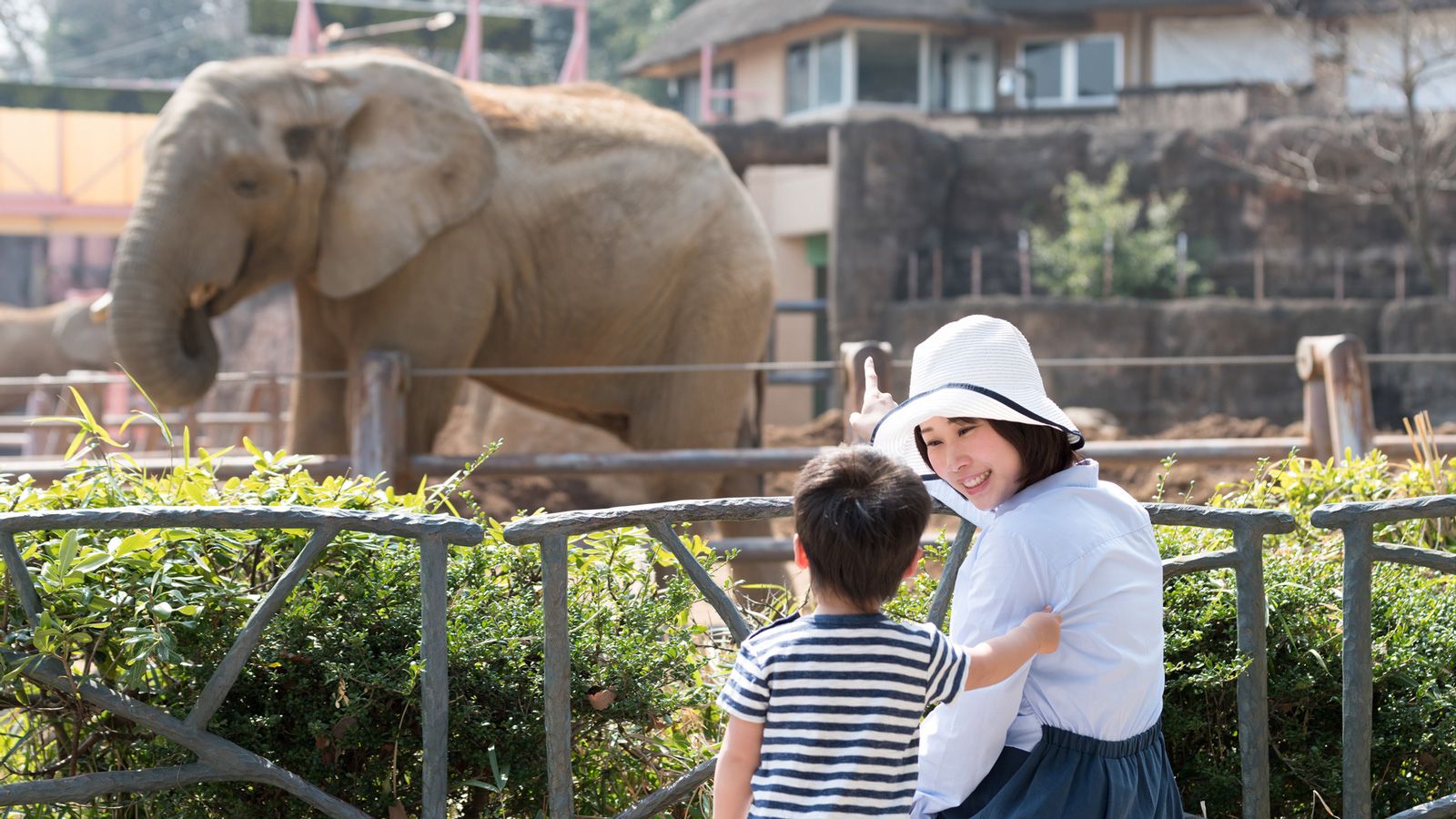 まるで動物園 中高生への過保護 が生む悪循環 ぐんぐん伸びる子は何が違うのか 東洋経済オンライン 社会をよくする経済ニュース