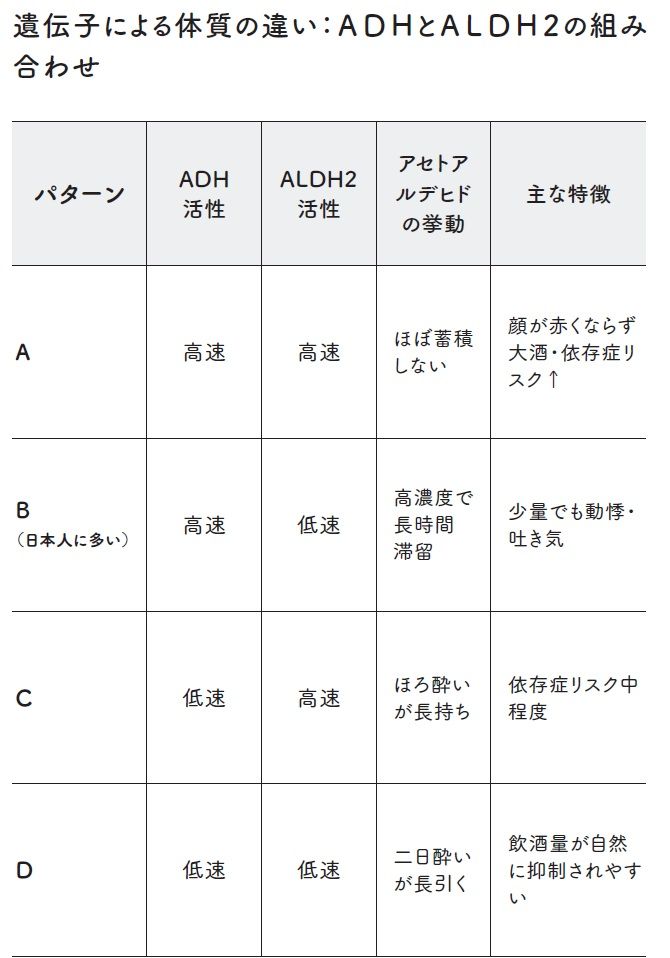遺伝子による体質の違い:ADHとALDH2の組み 合わせ