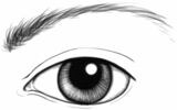 白い部分と黒い部分のコントラスト、線の強弱をつけることで「瞳」や「眉毛」をリアルに表現できる（出所：『たった30日で「プロ級の絵」が楽しみながら描けるようになる本』）