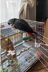 （写真提供：カマタさん）