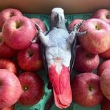 （写真提供：カマタさん）