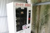 自社の卵を使ったドーナツの販売もしている（筆者撮影）