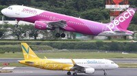 ピーチとバニラが挑む｢甘くない｣LCC大激戦 価格競争から抜け出すには統合が必然だった