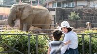 まるで動物園｢中高生への過保護｣が生む悪循環 手を離せず再び｢枠｣にはめようとする親たち