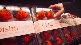 ｢イチゴ植物工場｣にNTTや安川電機が群がる訳