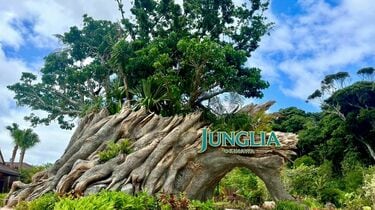 沖縄の“南北問題”に一石を投じる」「北部観光の起爆剤」と期待されたが