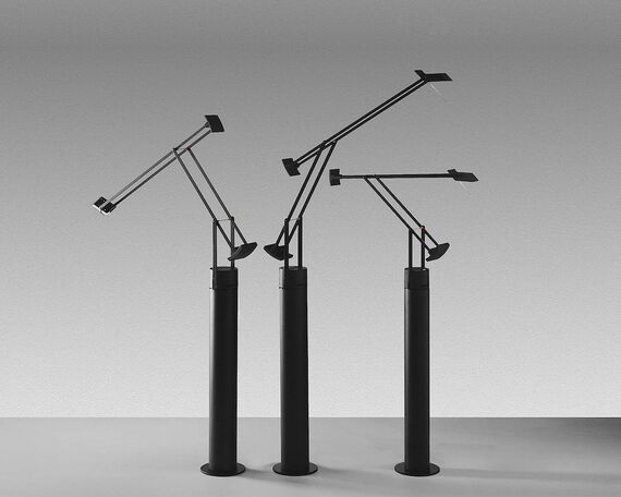 TIZIO LED