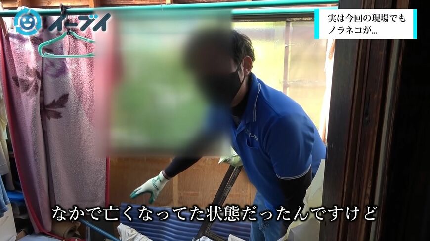 本文の事例とは異なるが、ノラネコが入り込んでいることもある（写真：「イーブイ片付けチャンネル」より）