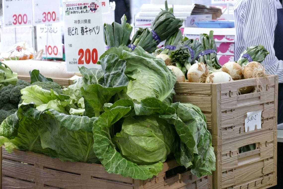 京急の上大岡駅に到着した朝採れのキャベツ（記者撮影）