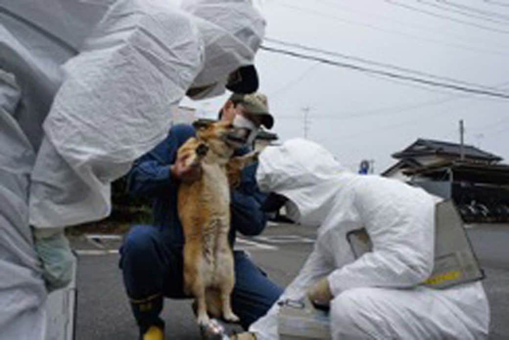 スクリーニングを受けてから運び出す