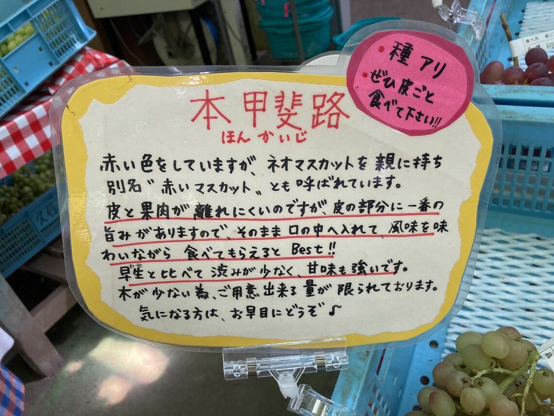 観光ぶどう園を訪れるメリットは、複数の品種を食べ比べできること。農園の人におすすめを聞くのも楽しい。写真は久保田園（写真：筆者撮影）