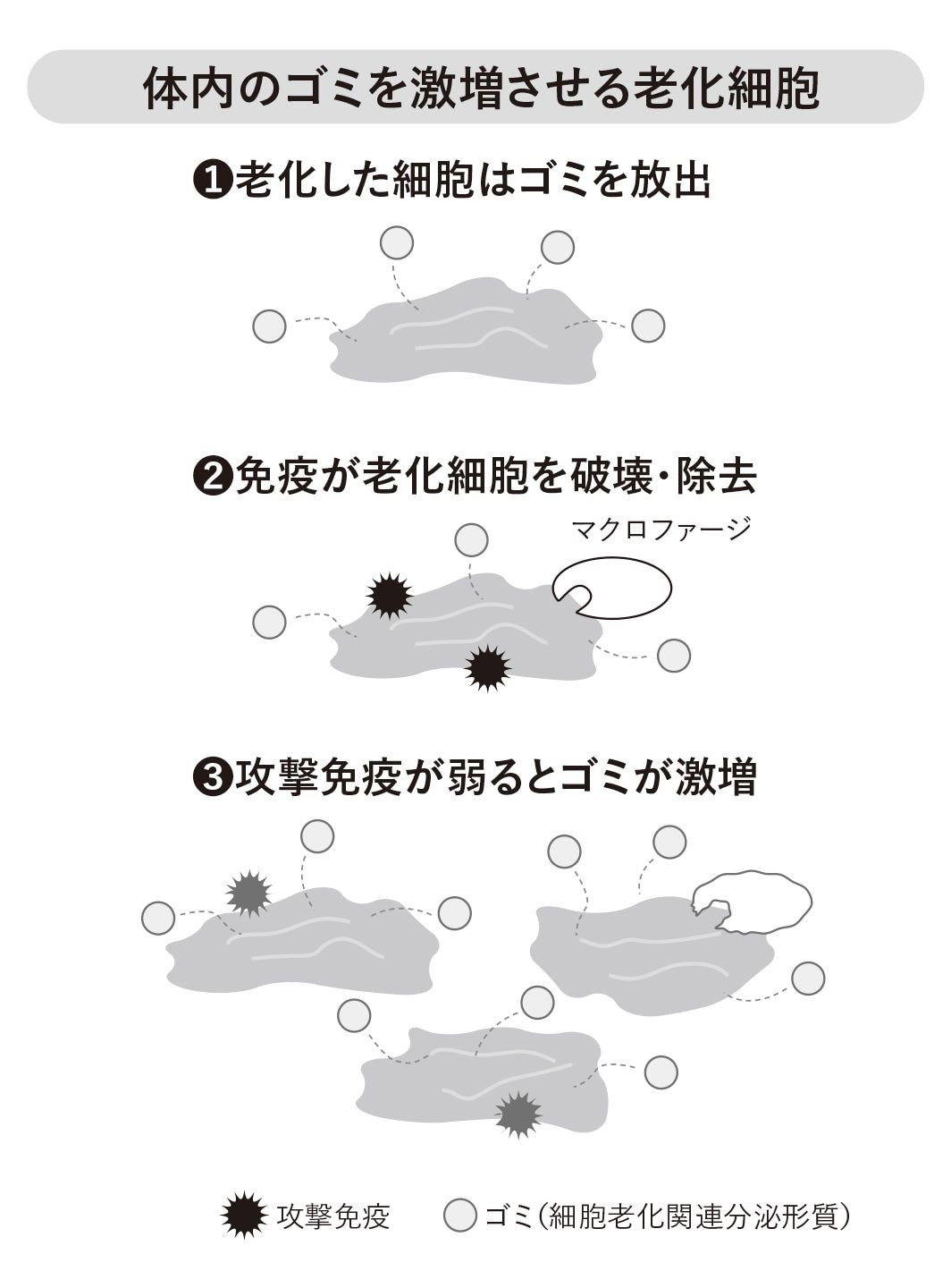 （出所）『倍速老化』より