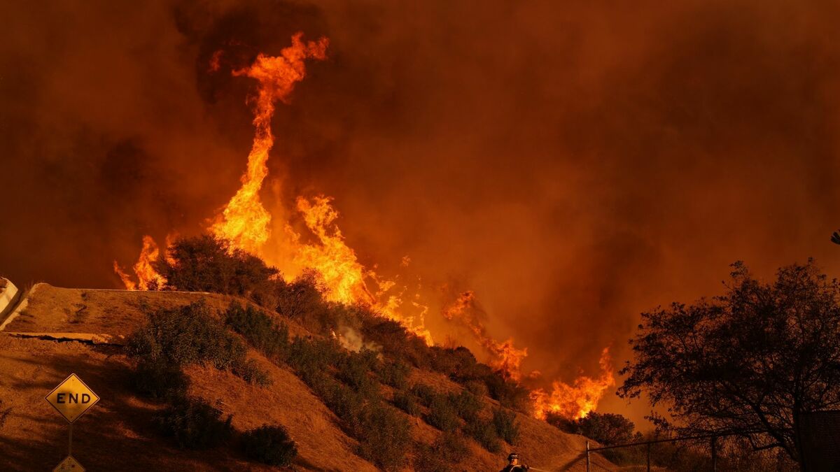 山火事で明るみに出たL.A.セレブの｢桁違い｣度 火事の数日後から不動産仲介の電話は鳴りっぱなし | 映画・音楽 | 東洋経済オンライン