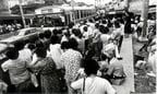 左側通行への変更で混乱するバス停