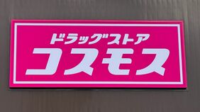 都会に住む人は知らない…地方で大増殖している｢食品だらけのドラッグストア｣驚きの実態