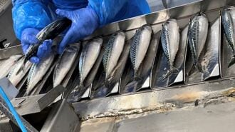「魚が獲れず輸入価格も上がり続ける」日本の惨状