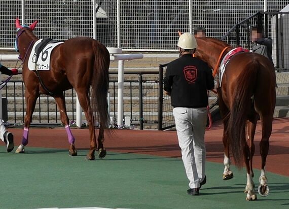 スポーツ報知 競馬記者 志賀浩子