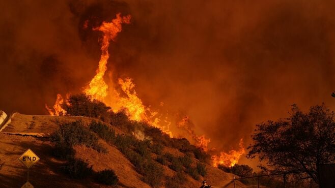 山火事で明るみに出たL.A.セレブの｢桁違い｣度