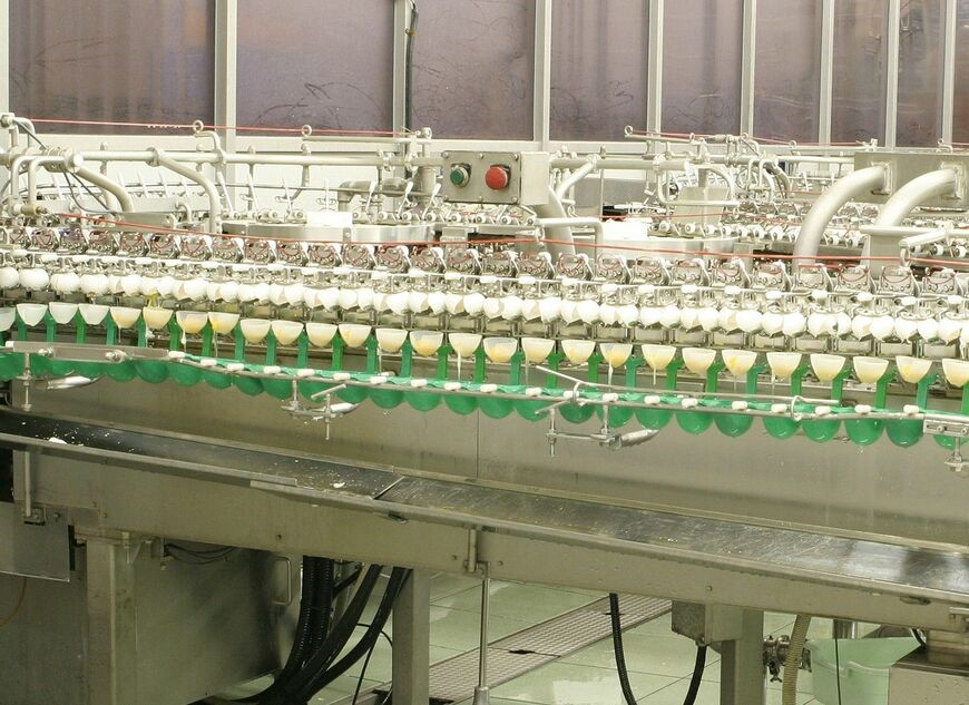 1分間に600個の圧巻のスピードで割卵（写真：キユーピー株式会社提供）