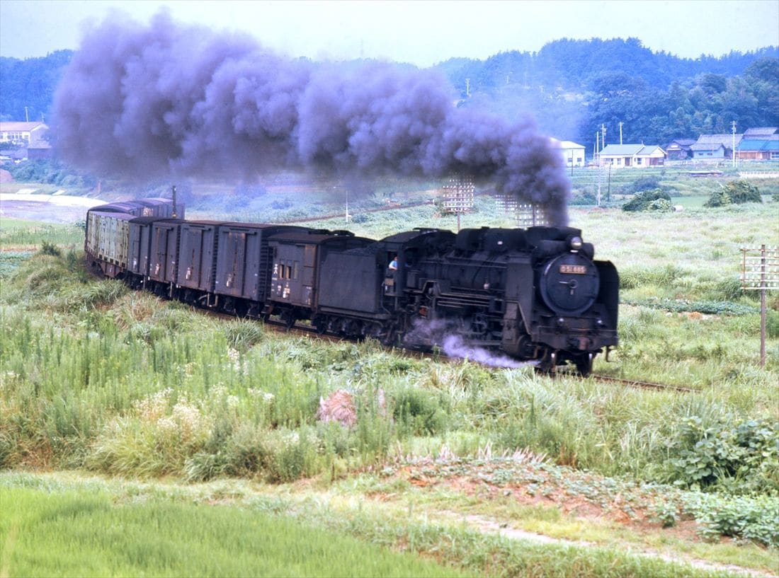 紀勢本線下庄付近を走る貨物列車（撮影：南正時）