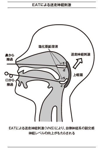 （出所）『慢性疲労を治す本: いつまでも消えないつらい疲れ・だるさの正体』