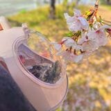 （写真提供：あめちさん）