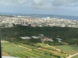 機上から見下ろす宮古島の市街地と農地＝6月11日（筆者撮影）