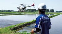 日本のご飯の3杯に1杯はヤマハの“ドローン"育ち 世界が注目する成功事例が日本にあった！