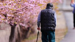 ｢脱･ヨボヨボ｣目指す高齢者に不可欠な栄養素2つ